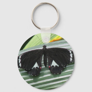 Porte-clés Papillon tropical noir et blanc