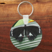 Porte-clés Papillon tropical noir et blanc (Verso)