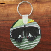 Porte-clés Papillon tropical noir et blanc (Recto)