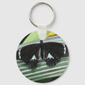 Porte-clés Papillon tropical noir et blanc (Verso)