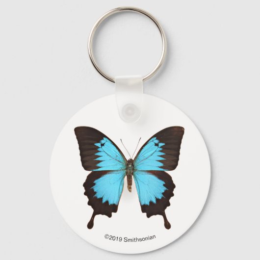 Porte-clés Papillon Ulysse (Recto)