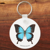Porte-clés Papillon Ulysse (Recto)