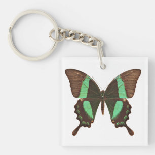 Porte-clés Papillon vert de machaon
