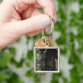 Porte-clés Papillons volant dans la forêt (main)