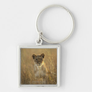 Porte-clés Parc national de Hwange, Zimbabwe