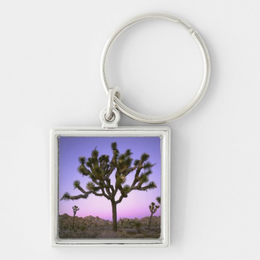 Porte-clés PARC NATIONAL DE JOSHUA TREE, CALIFORNIE.États-Uni (Devant)