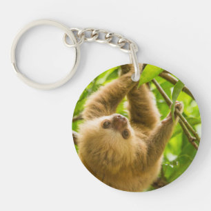 Porte-clés Paresse à l'envers des images de Getty