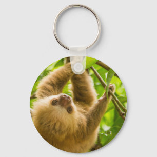 Porte-clés Paresse à l'envers des images de Getty