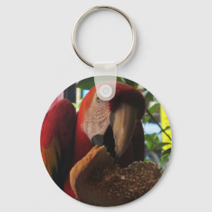 Porte-clés Parrot Macaw Scarlet Manger Toast
