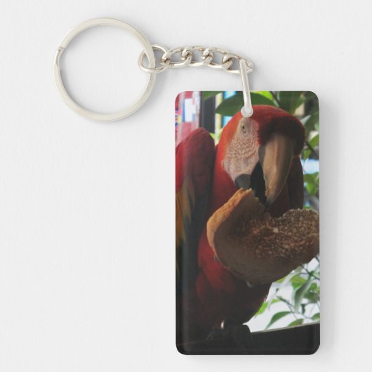 Porte-clés Parrot Macaw Scarlet Manger Toast (Devant)
