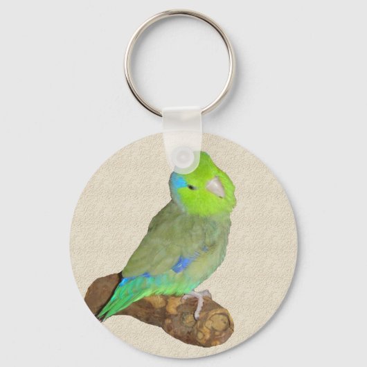 Porte-clés Parrotlet mâle vert (Recto)