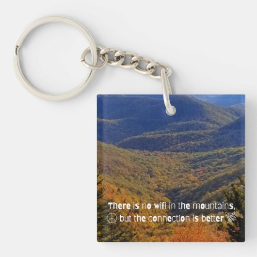 Porte-clés Pas de Porte - clé acrylique WIFI (Devant)