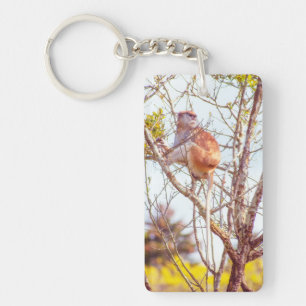 Porte-clés Patas est au sommet d'un arbre