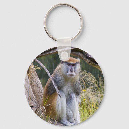 Porte-clés Patas Monkey (Recto)