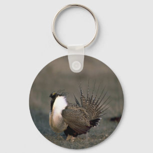 Porte-clés Pavanement de grouse sage