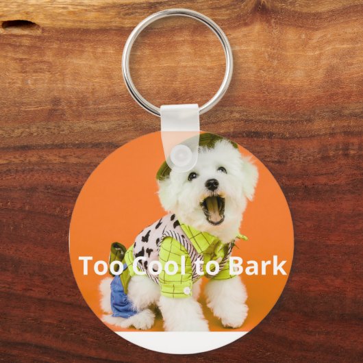 Porte-clés Pawfect Charm (Recto)
