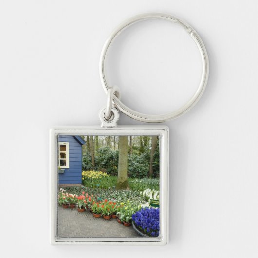 Porte-clés Pays-Bas aka Holland), Lisse. Keukenhof 11 (Devant)