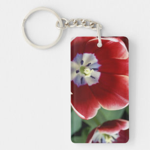 Porte-clés Pays-Bas (aussi appelé Hollande), Lisse. Keukenhof