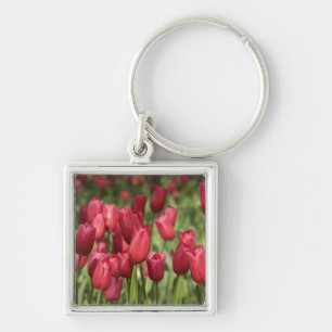 Porte-clés Pays-Bas (aussi appelé Hollande), Lisse. Keukenhof