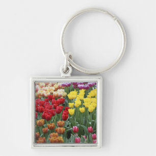 Porte-clés Pays-Bas, Jardins de Keukenhoff, tulipes.