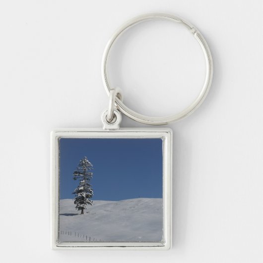 Porte-clés Paysage froid 4 d'hiver de Milou (Devant)