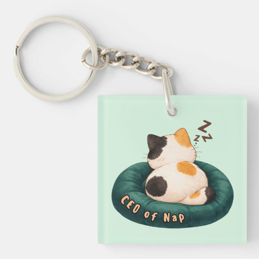 Porte-clés "PDG de Nap" Chat dormant sur le canapé (Devant)