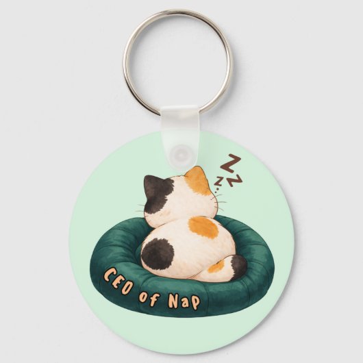 Porte-clés "PDG de Nap" Chat dormant sur le canapé (Recto)