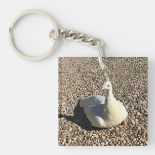 Porte-clés Peacock Blanc, Idaho
