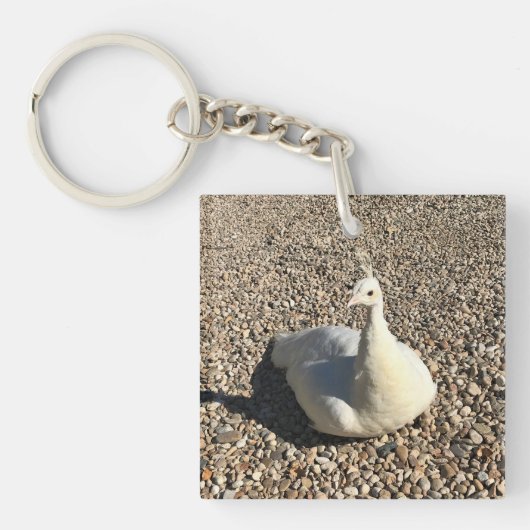 Porte-clés Peacock Blanc, Idaho (Devant)