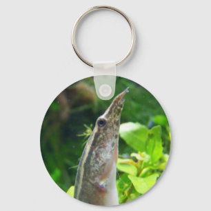 Porte-clés Peacock Eel "Elvis"