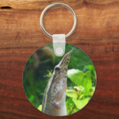 Porte-clés Peacock Eel "Elvis" (Recto)