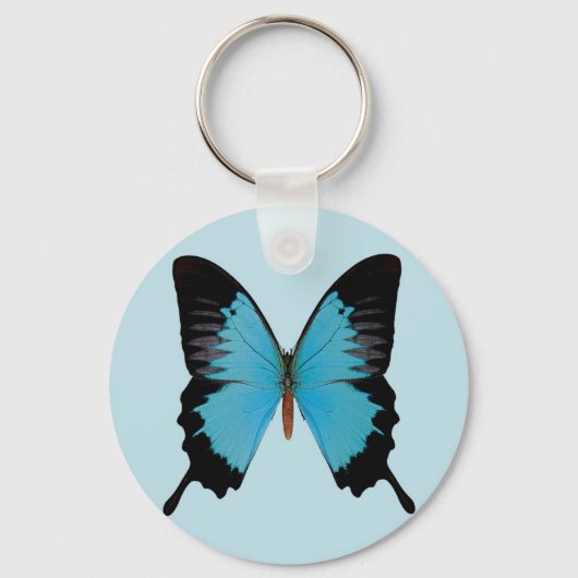 Porte-clés Peacock Royal (Recto)