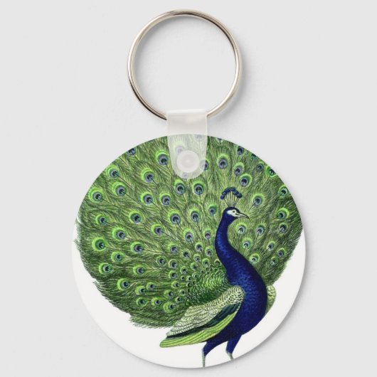 Porte-clés Peacock vintage (Recto)