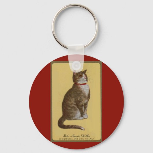 Porte-clés Peake, le chat tabby de Chessie (Recto)