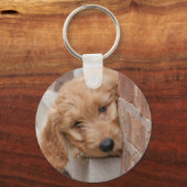 Porte-clés Peecing de Goldendoodle (Recto)