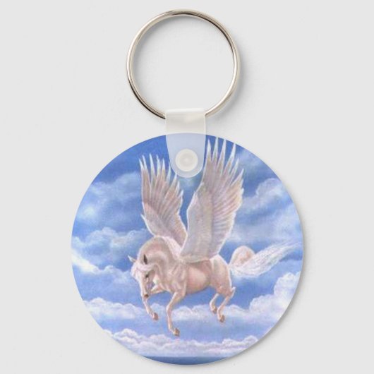 Porte-clés Pegasus Keychain (Recto)