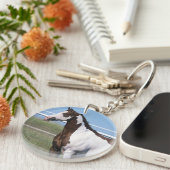 Porte-clés Peignez la position de cheval (Devant droit)