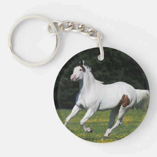 Porte-clés Peignez le cheval fonctionnant dans le domaine (Devant)