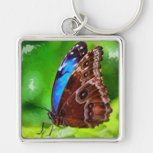 Porte-clés Peinture à papillon (Devant)