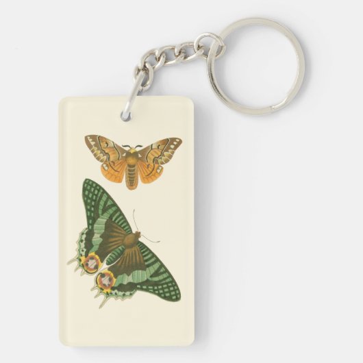 Porte-clés Peinture à papillon légèrement frontière (Dos)