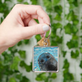 Porte-clés Peinture de phoque en pop-up (main)