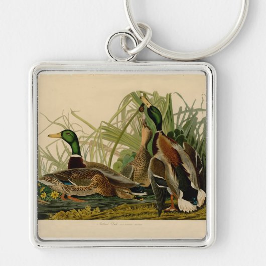 Porte-clés Peinture d'oiseaux de Mallard Duck Audubon (Devant)