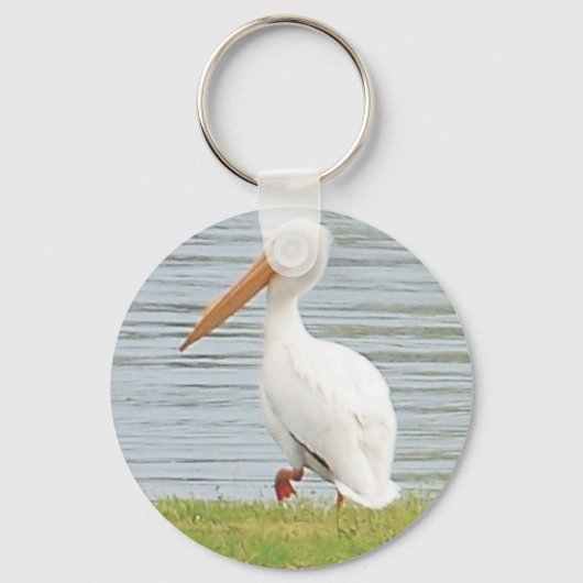 Porte-clés pélican blanc le long du littoral (Recto)