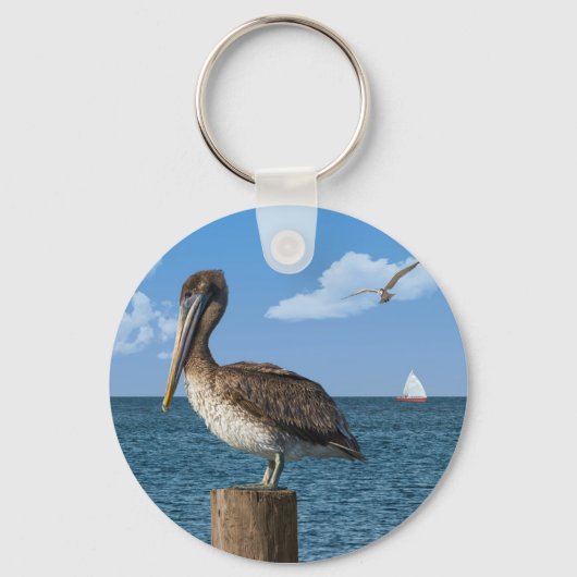 Porte-clés Pelican sur un Porte - clé de poste (Recto)