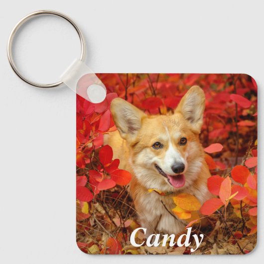 Porte-clés Pembroke Welsh Corgi Chien chiot en Feuille rouge (Recto)
