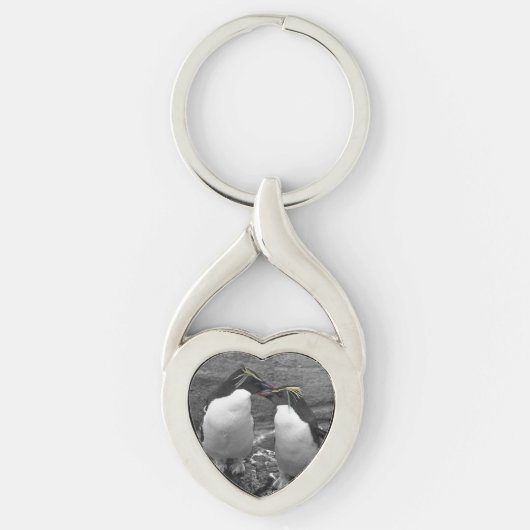 Porte-clés Penguin Colour Splash (Devant)