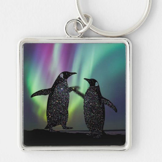 Porte-clés Penguins key ring beautiful aurora design (Devant)
