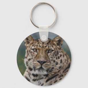 Porte-clés Pensées Léopard