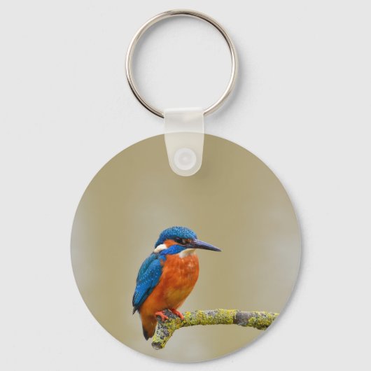 Porte-clés Perching Kingfisher (Recto)