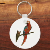 Porte-clés Perroquet (Recto)